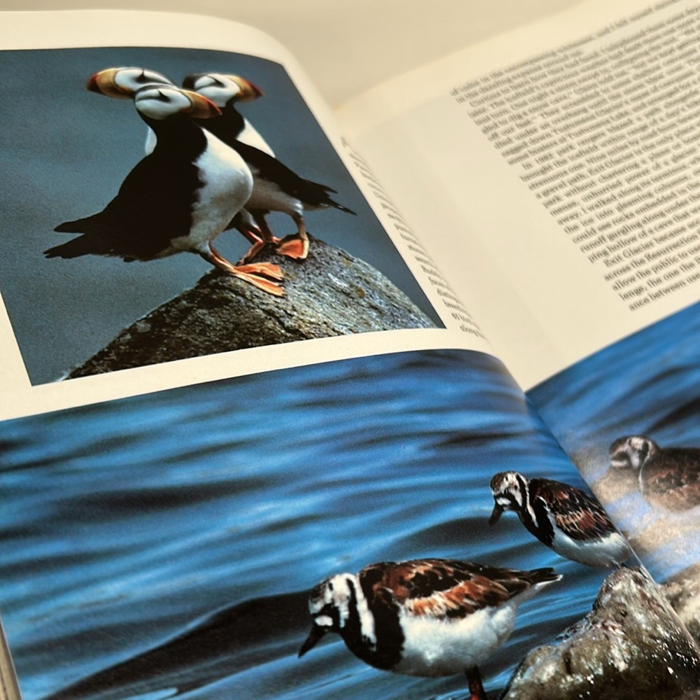 💕 Vintage Alaska's Magnificent Parklands National Geographic Society Book - Picture 9 of 16